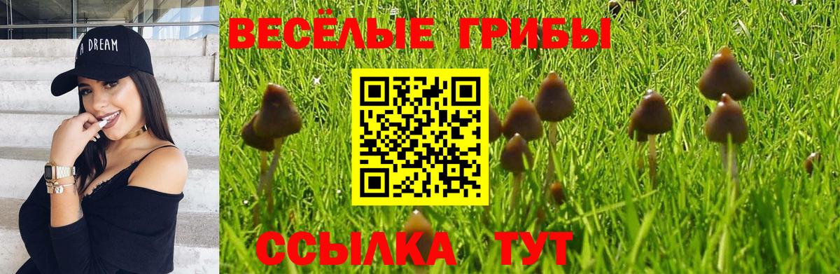 Богородск  Псилоцибиновые грибы прущие грибы  Вход с VPN 